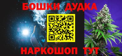 МДПВ Гатчина