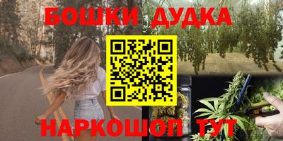гидра Гай