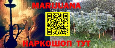 гидра Гай