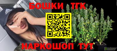 МДПВ Гатчина